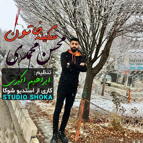دانلود آهنگ جدید محسن محمدی بنام سکینه خاتون